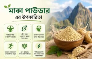 মাকা পাউডার এর উপকারিতা ও খাওয়ার নিয়ম