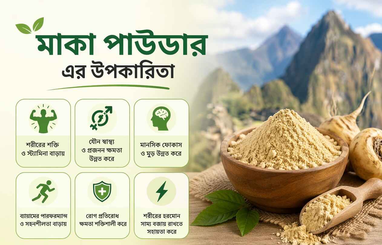 মাকা পাউডার এর উপকারিতা ও খাওয়ার নিয়ম
